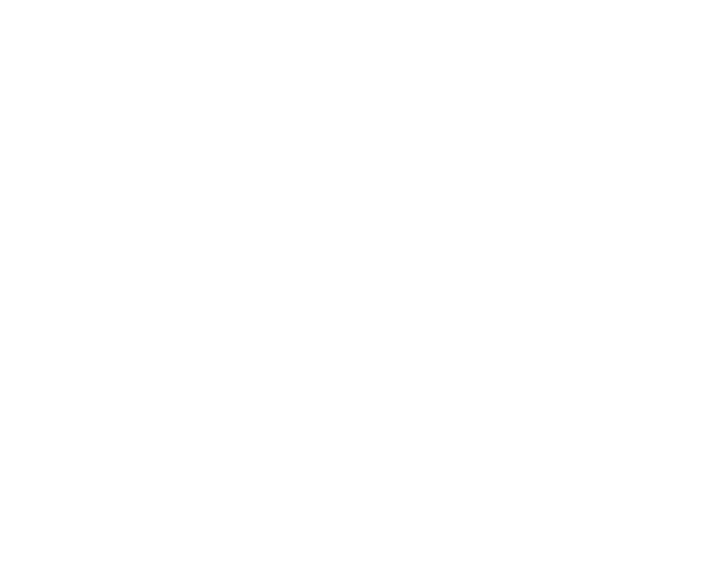 Aquila academy